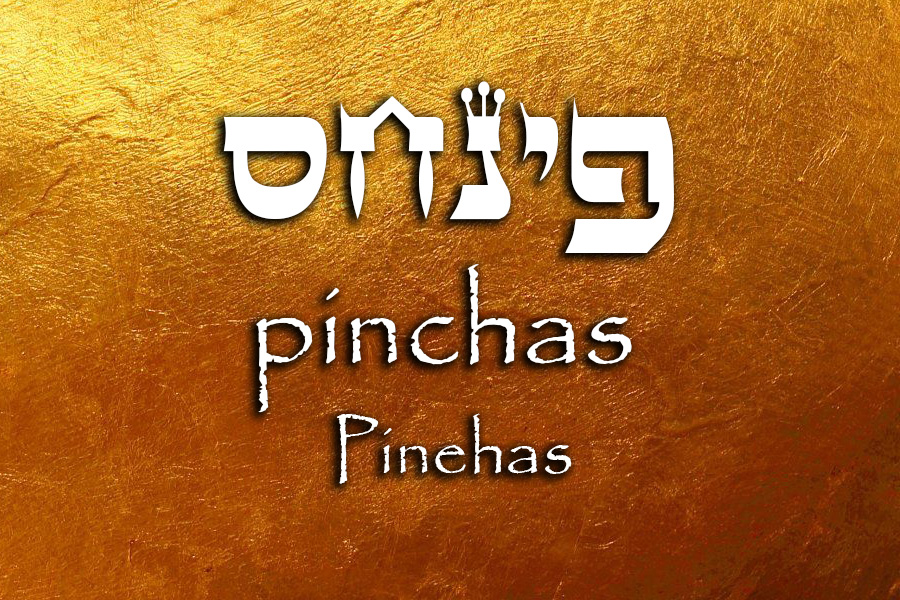 Parashat Pinehas