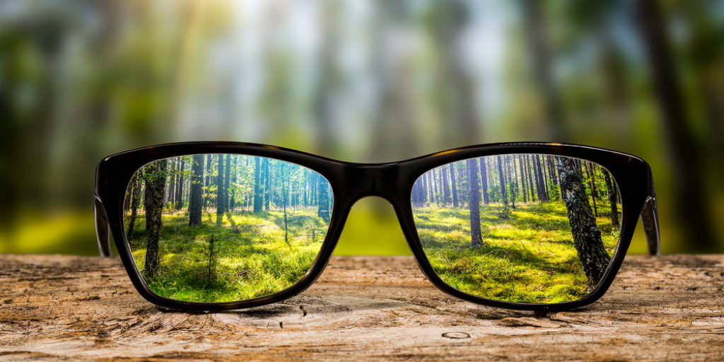 Seeing Yourself and Others More Clearly