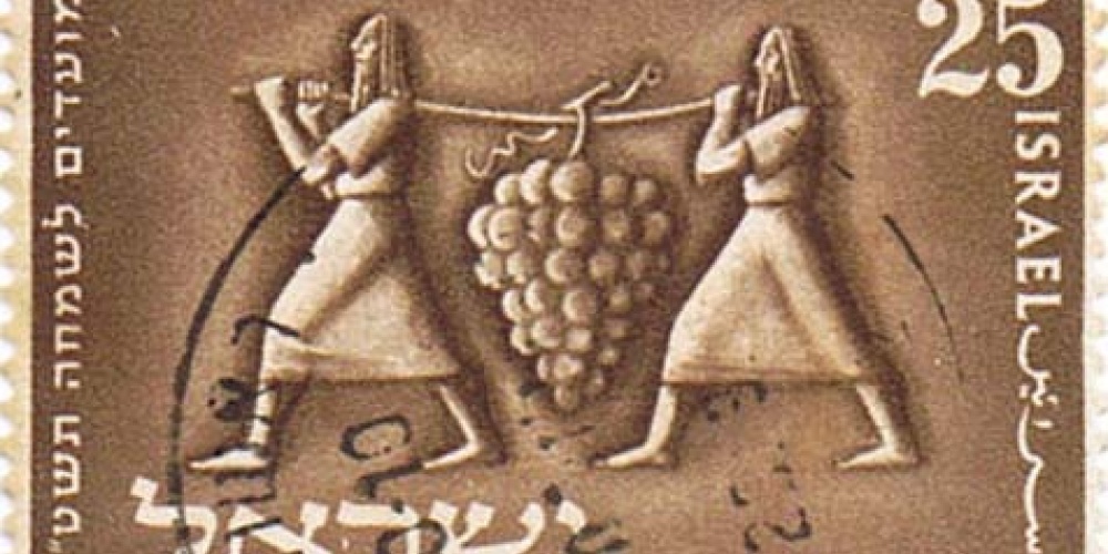 Parashat Shelach Lecha (Outside Israel Parashat Beha’alotcha)