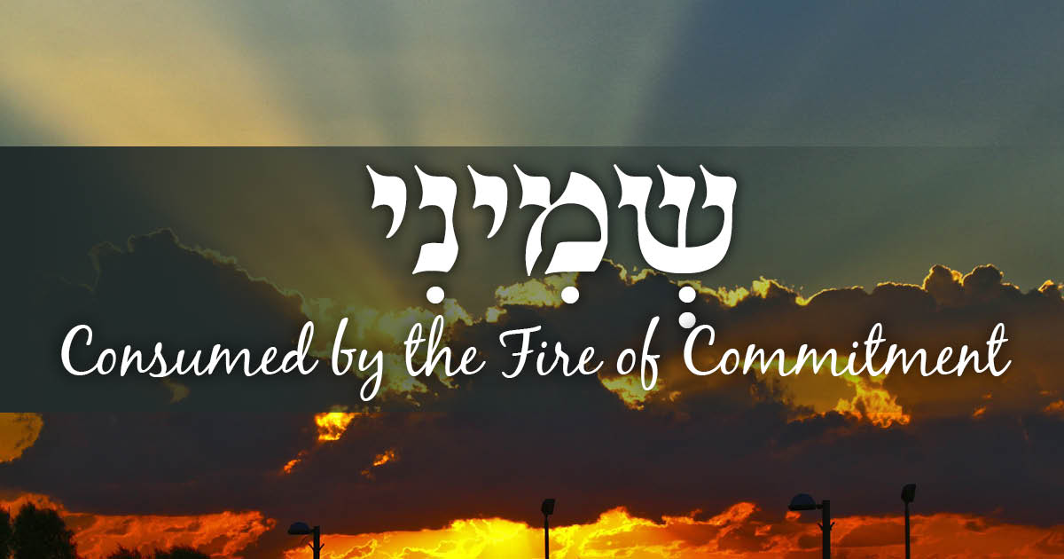 Parashat Shemini