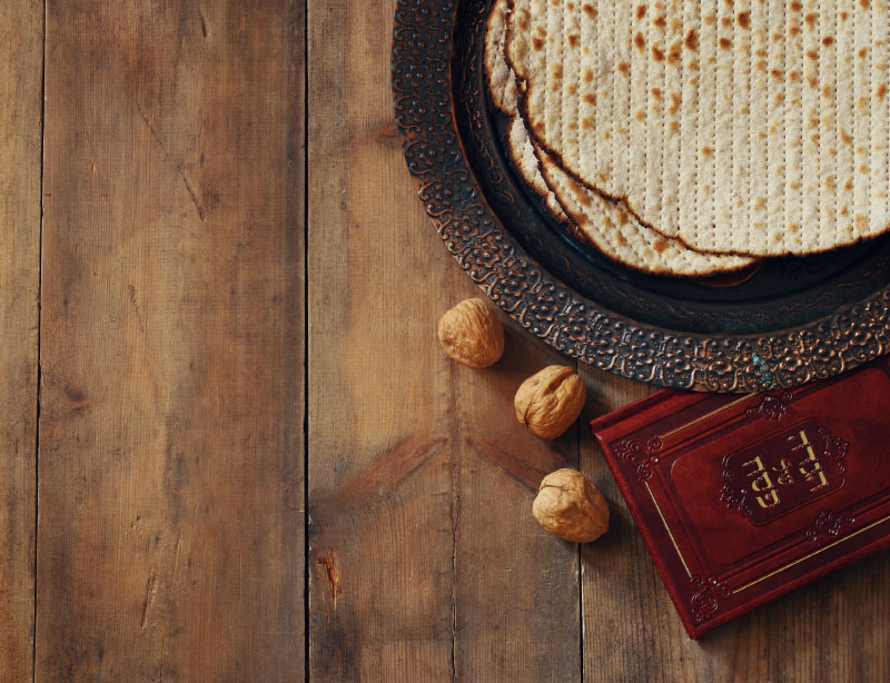 Pesach: A Legacy of Redemption and the Power of Language