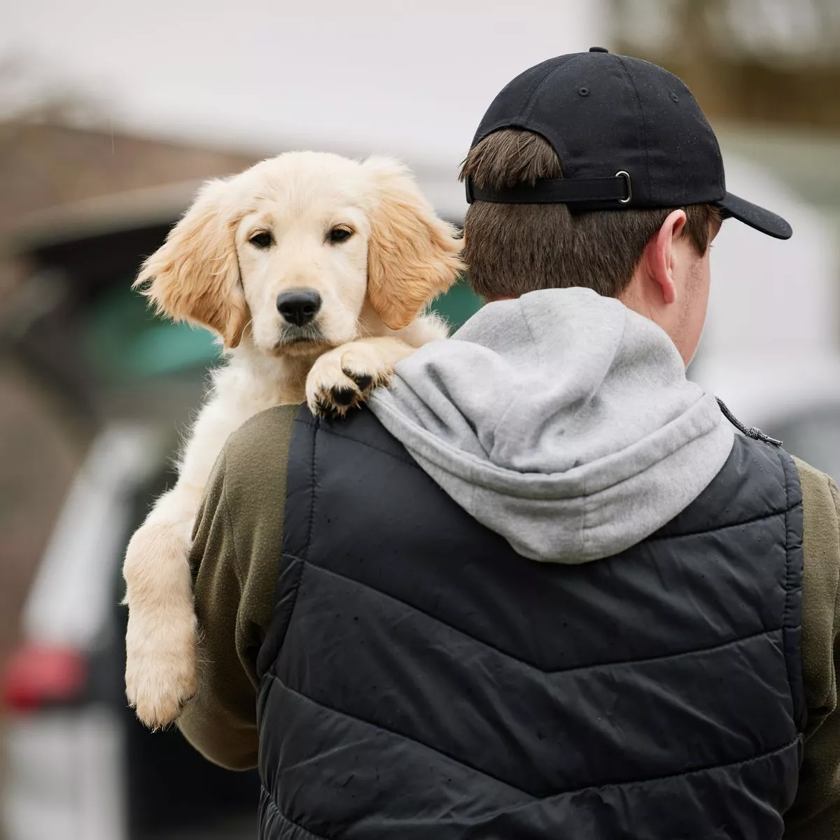 Pet Abduction Bill Becomes Law