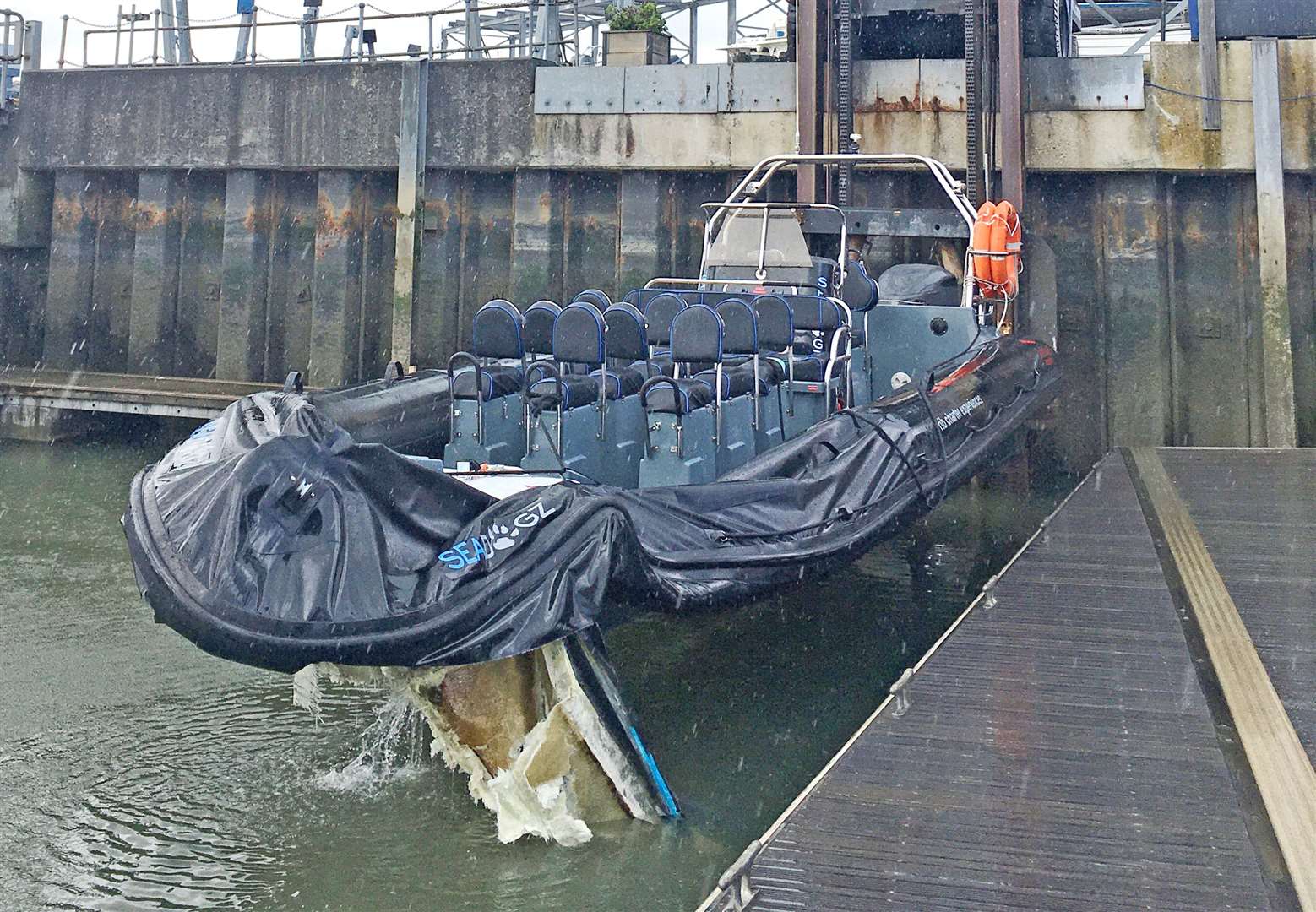 Seadogz Report Published
