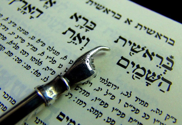 Shabbat Vayehi