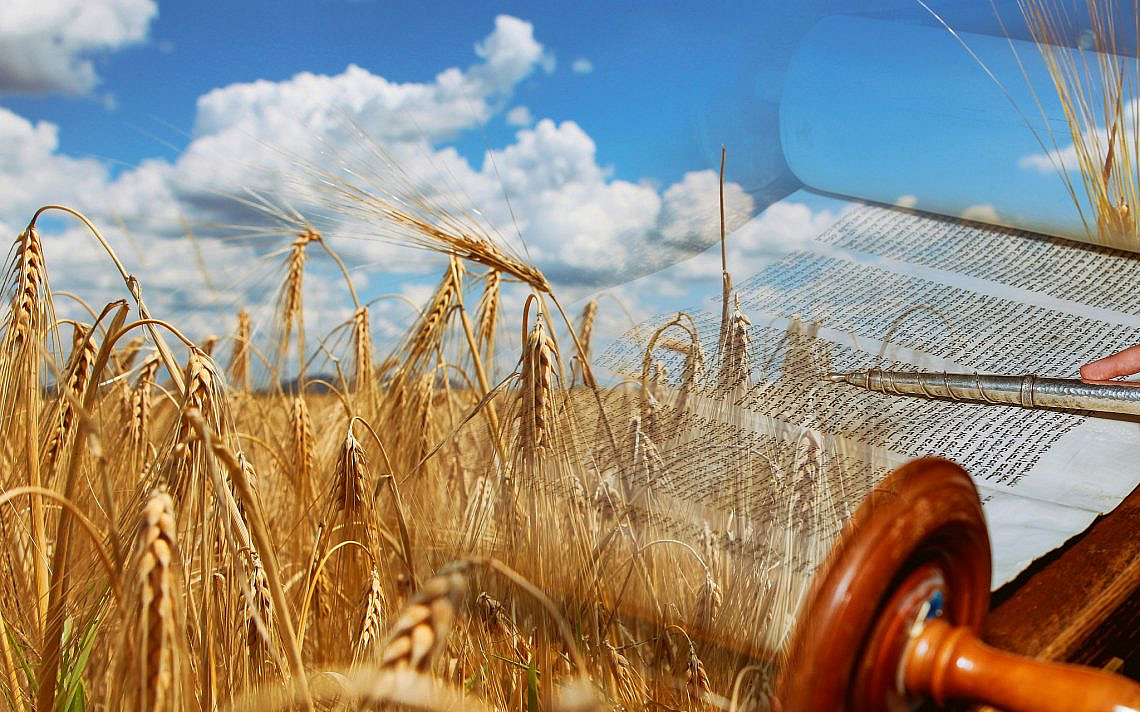Shavuot and the Culture Wars