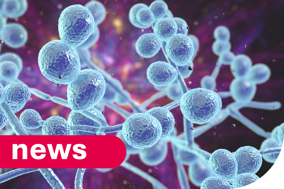 Small Rise in Serious Yeast Infections