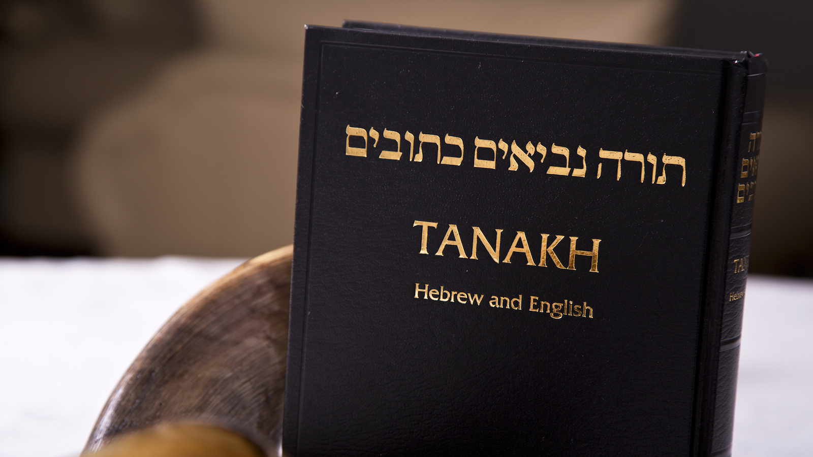 So You Want to Study the Bible?