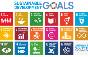 Survey on the UK’s First Voluntary National Review of Progress Towards the Sustainable Development