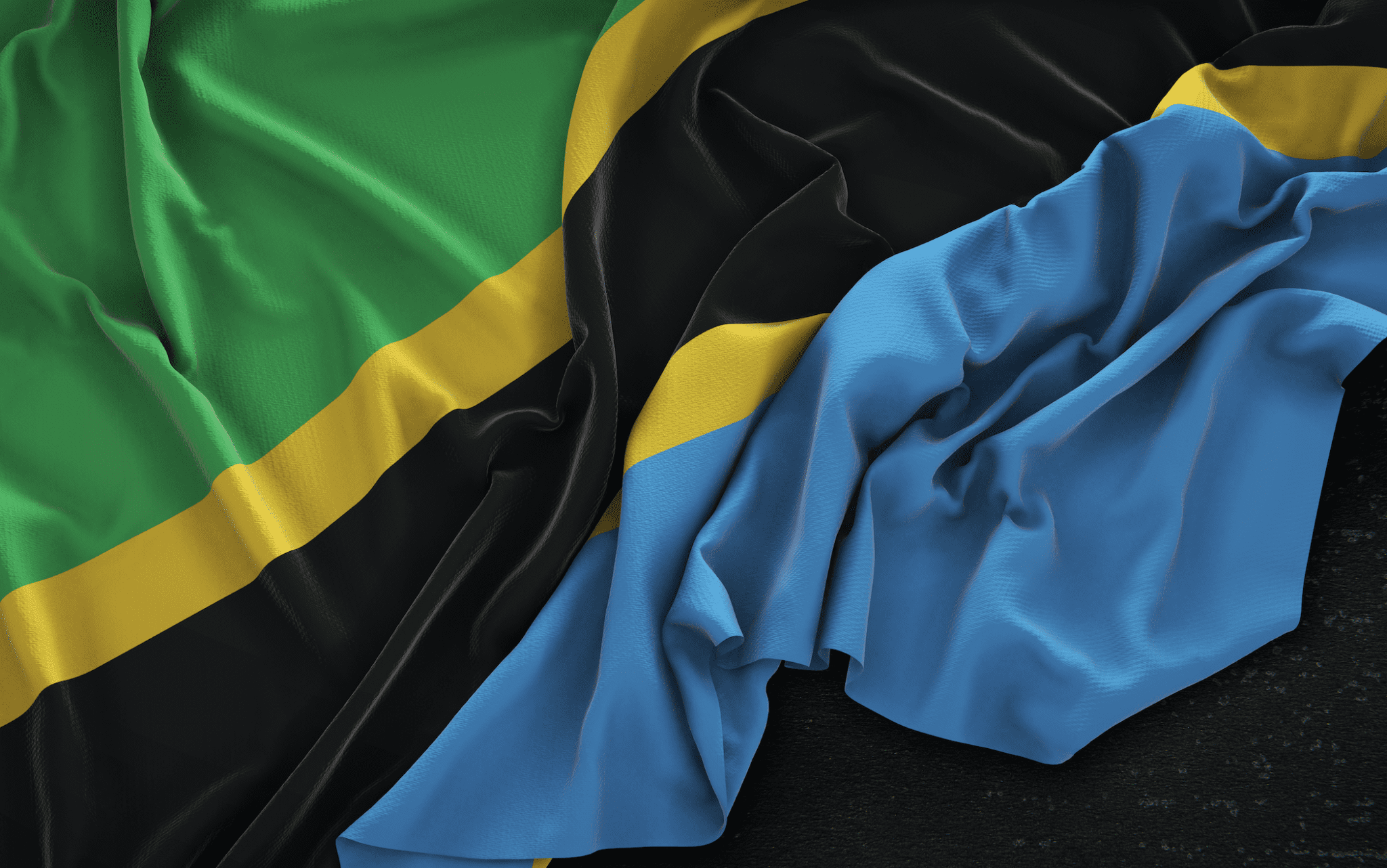 Tanzania Union Day