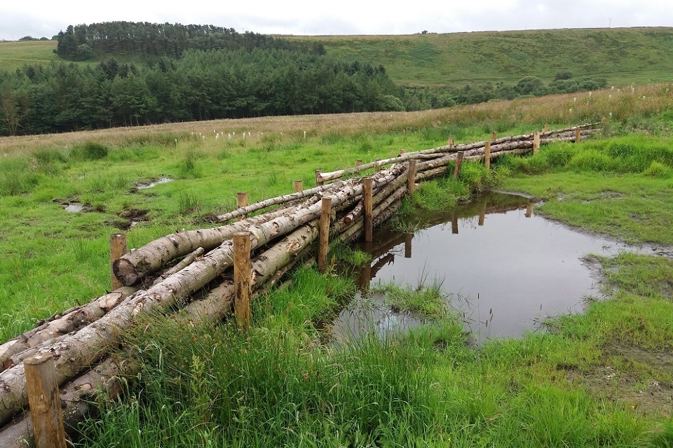 Taxpayers Fund £25 Million for Projects Using Nature to Increase Flood Resilience