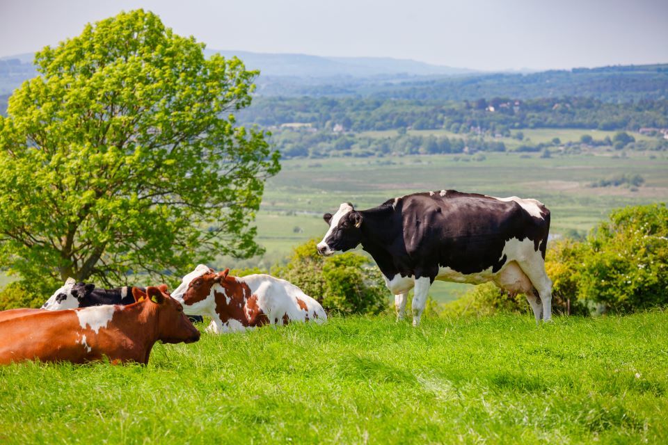 Thérèse Coffey: Farmers Central to Food Production and Environmental Action