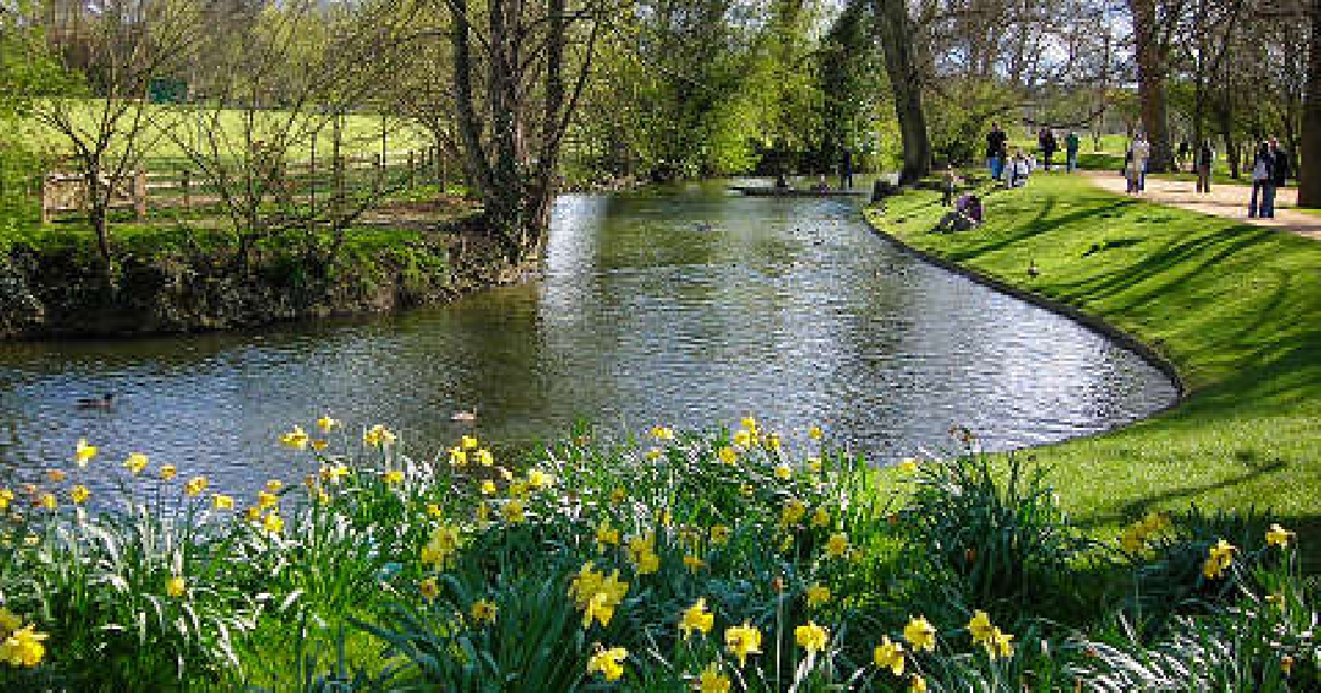 Thames Water Fined £4 Million After 30 Hour Waterfall of Sewage Discharge
