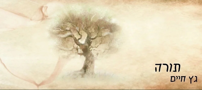The Inner Dimension of Torah