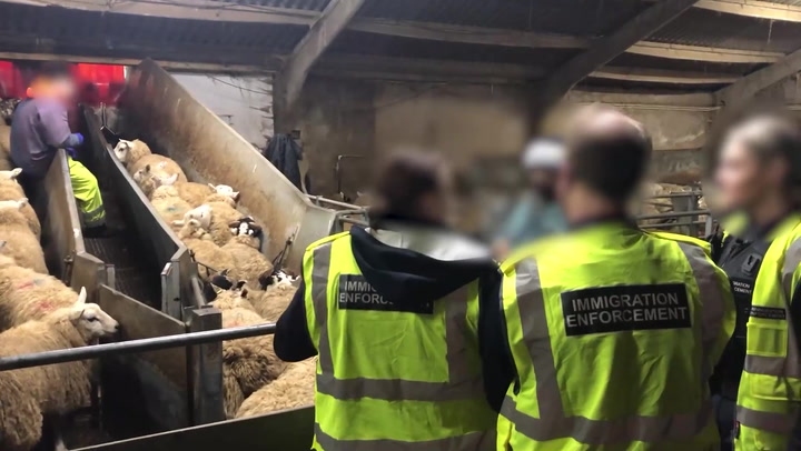 Two Arrested in Immigration Raid at Manchester Abattoir