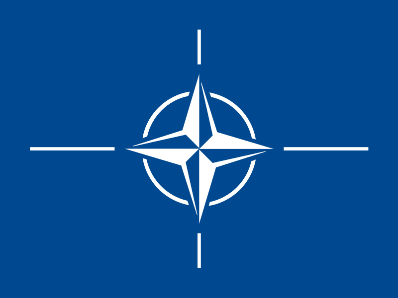 U.S. Department of State Marks 75th NATO Anniversary with Professional Exchange Program