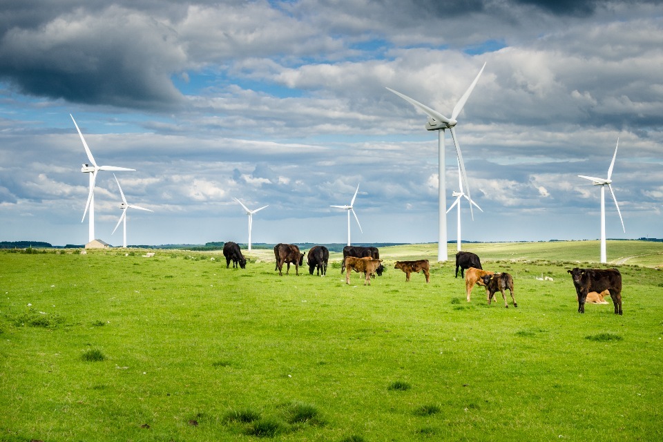 UK International Risk Status for BSE Downgraded in Huge Boost to Farm Sector