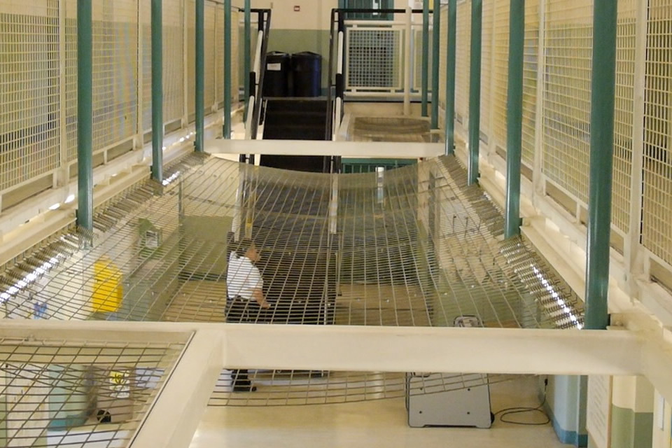 UK Taxpayers to Invest Millions to Support Female Offenders