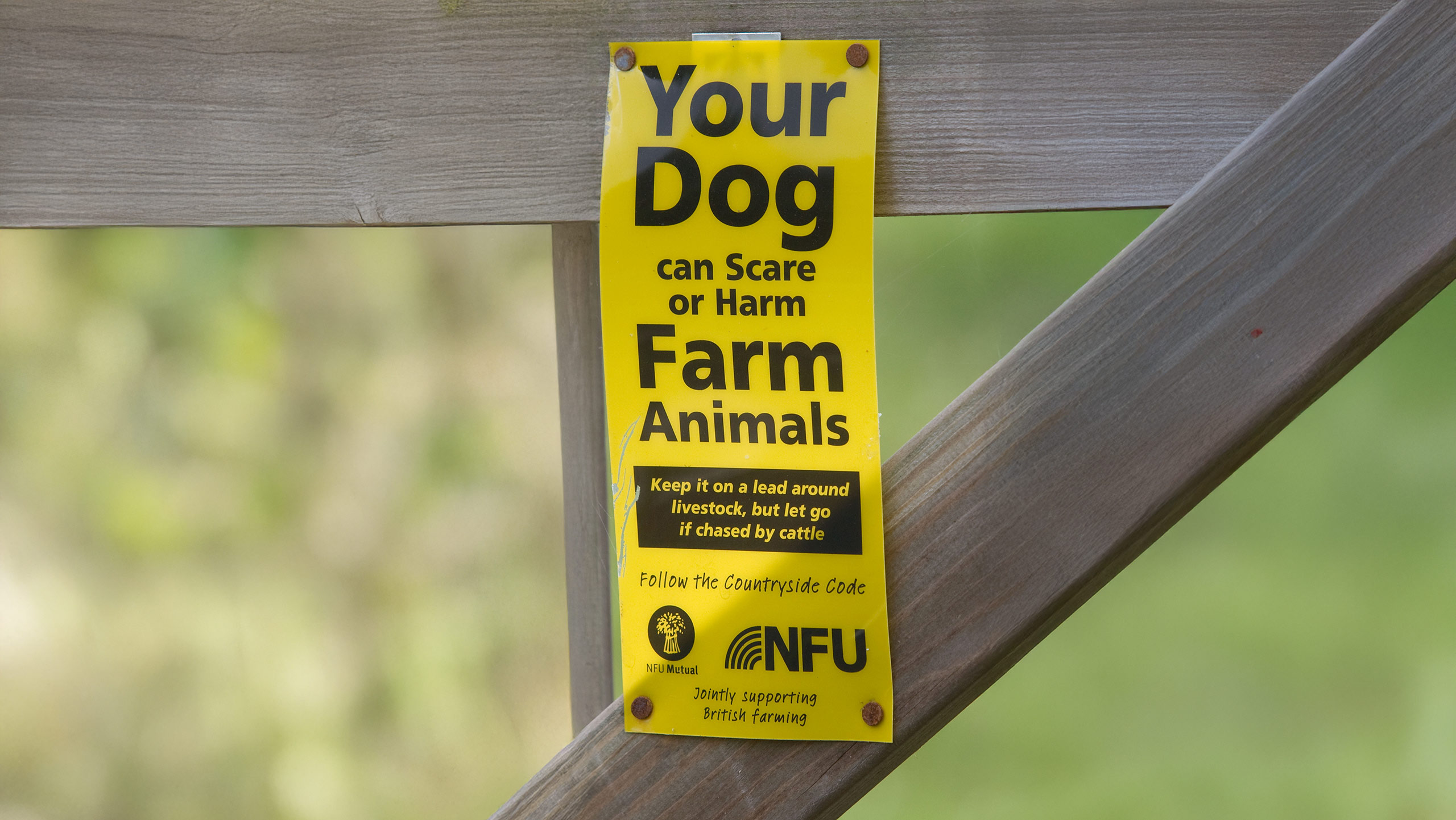 Unlimited Fines for Dog Attacks on Farm Animals