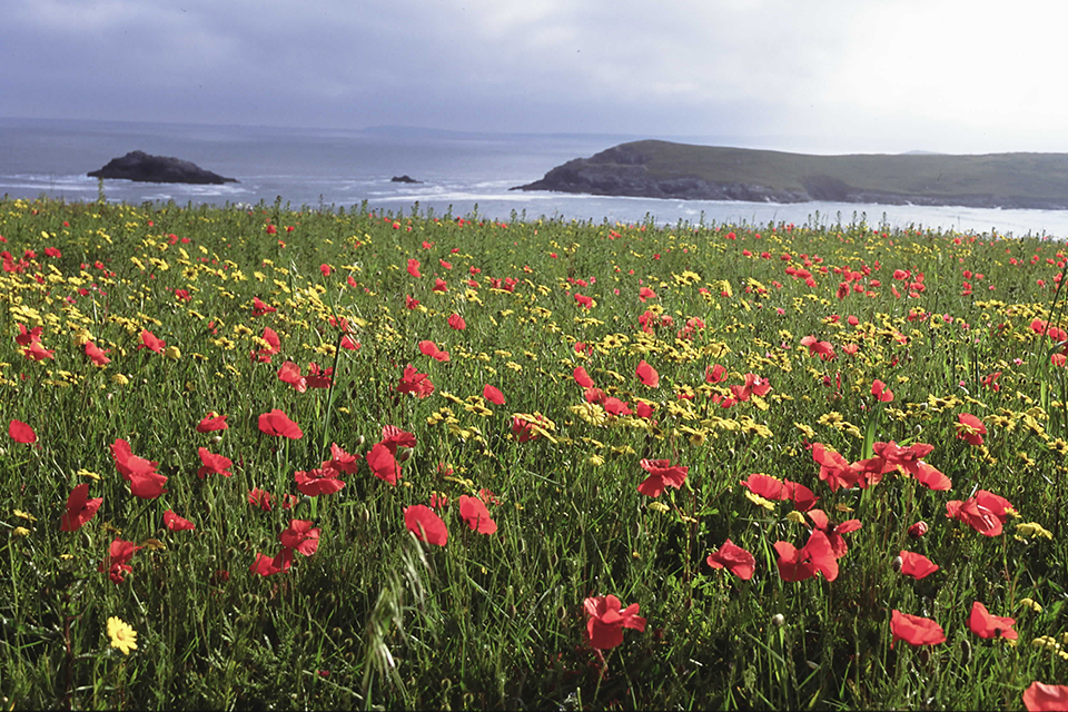 Updates to the Board of Natural England