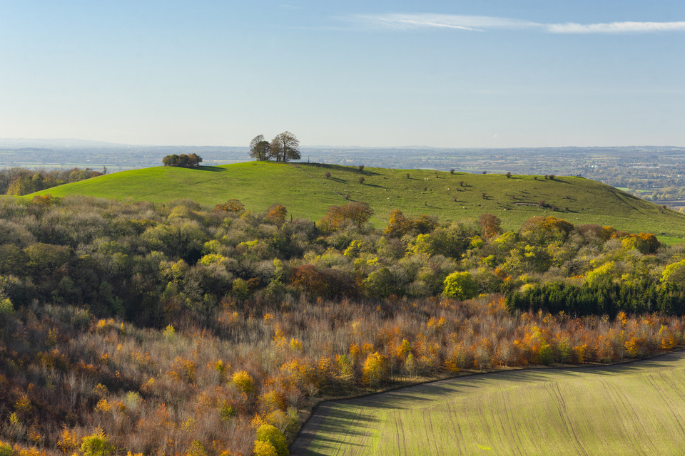 Wildlife Habitat in Most Cherished Landscapes Set to be Restored