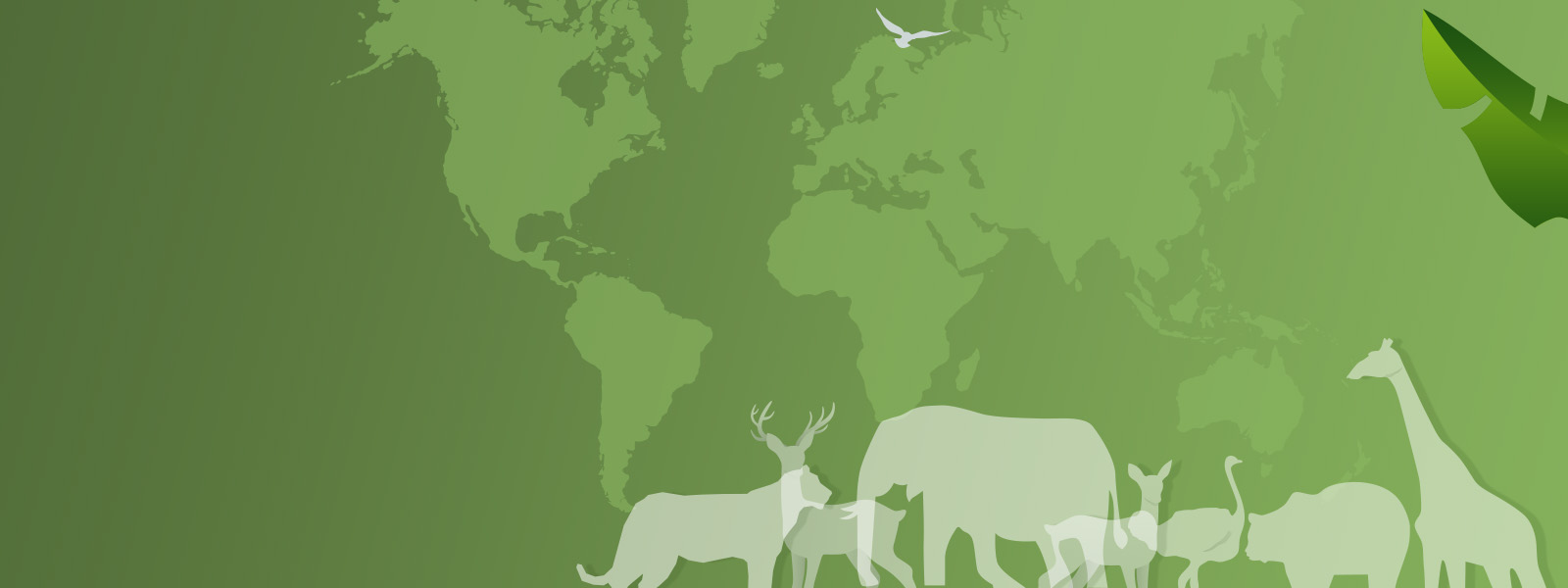 World Wildlife Day